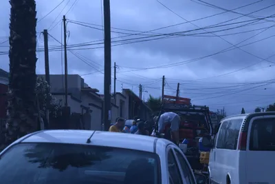 DSC_1533 (Large).JPG